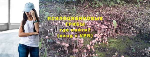 молекула духа Красноперекопск